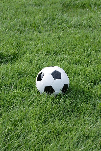 サッカーボール 芝生のフリー写真素材 無料画像素材のプロ フォト Bal0001 001