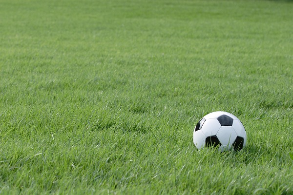 芝生の上のサッカーボールのフリー写真素材 無料画像素材のプロ フォト Bal0002 001