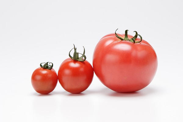 大玉トマト 完熟トマト ミニトマト プチトマトのフリー写真素材 無料画像素材のプロ フォト Fd