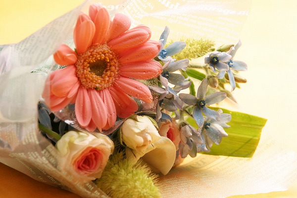 花束 ギフト 母の日のフリー写真素材 無料画像素材のプロ フォト Gft0001 004