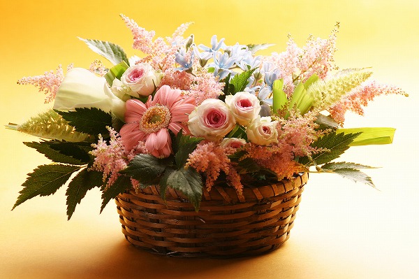 花束 ギフト 母の日のフリー写真素材 無料画像素材のプロ フォト Gft0003 004