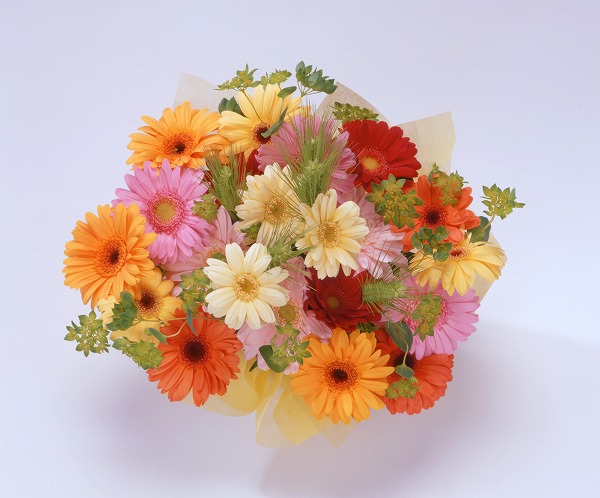 花束 フラワーアレンジメント ガーベラのフリー写真素材 無料画像素材のプロ フォト Gft0055 049