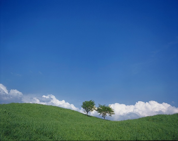 草原の木と青空 丘のフリー写真素材 無料画像素材のプロ フォト Kis0107 049