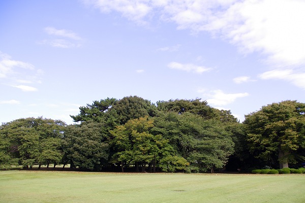 緑の木々と大地 芝生のフリー写真素材 無料画像素材のプロ フォト Kis0135 009