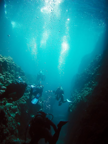 スキューバダイビング 海底風景のフリー写真素材 無料画像素材のプロ フォト Let0014 024