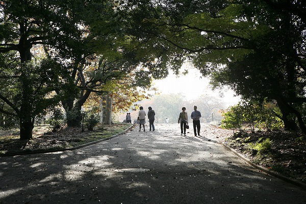 公園を散歩する人々のフリー写真素材 無料画像素材のプロ・フォト pet0009-001