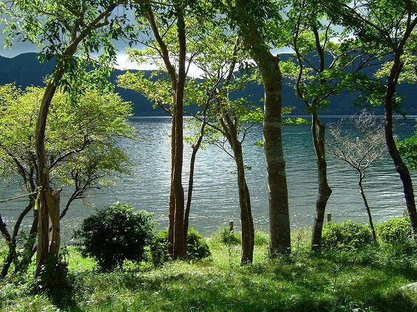 湖の湖畔と緑の木々｜riv0066-051