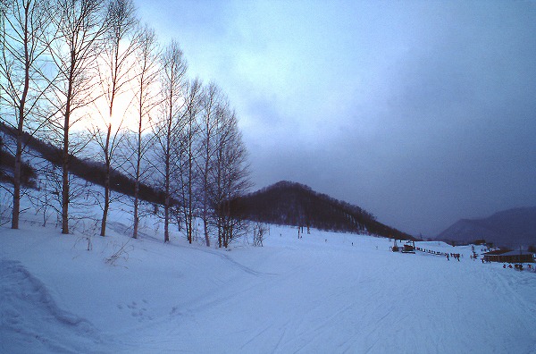 北海道 スキー場のフリー写真素材 無料画像素材のプロ フォト Snw0009 001