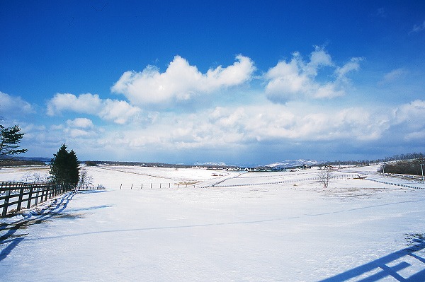 北海道 青空と雪原のフリー写真素材 無料画像素材のプロ フォト Snw0011 004