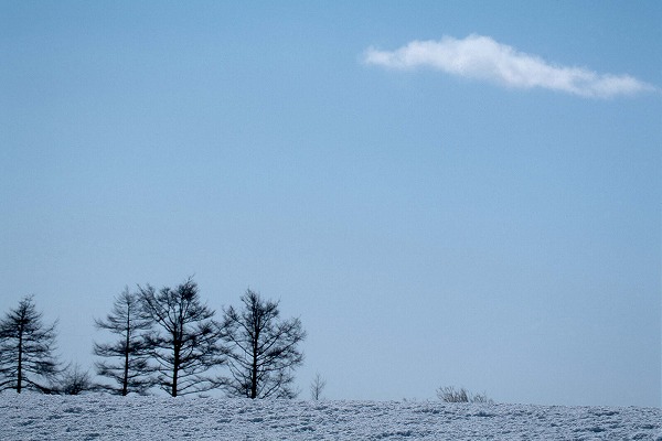 北海道 冬の空 雪のフリー写真素材 無料画像素材のプロ フォト Sor0036 010