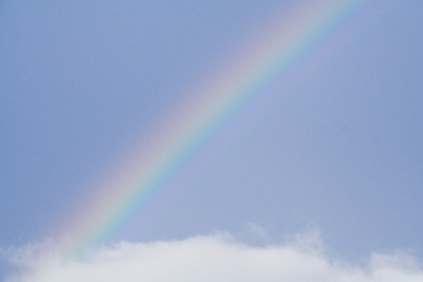 雨上がりの虹と青空のフリー写真素材 無料画像素材のプロ フォト Sor0057 009