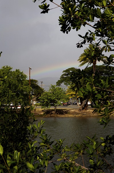 雨上がりの虹のフリー写真素材 無料画像素材のプロ フォト Sor0139 002