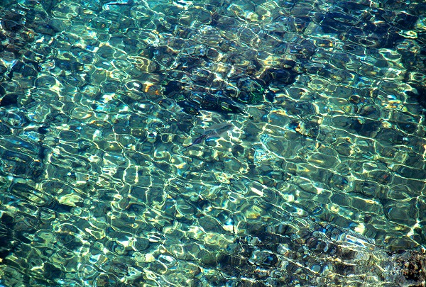 透明な水のゆらぎのフリー写真素材 無料画像素材のプロ・フォト 