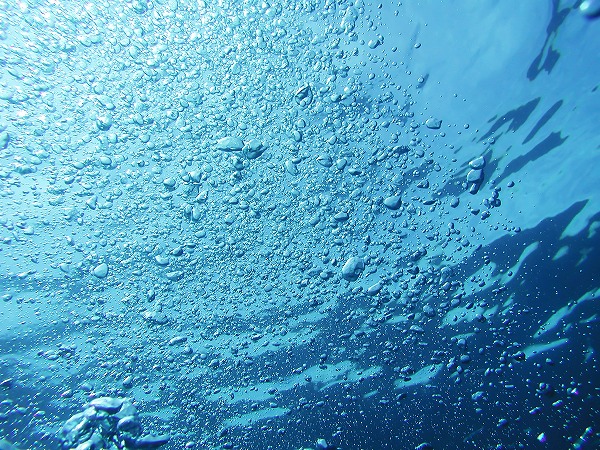 海中風景 エアー 気泡 水中イメージのフリー写真素材 無料画像素材のプロ フォト Wtr0051 024