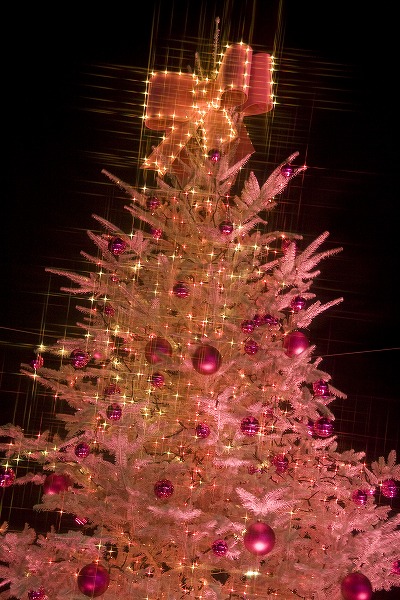 ピンクのクリスマスツリー イルミネーションのフリー写真素材 無料画像素材のプロ フォト Yak0027 009