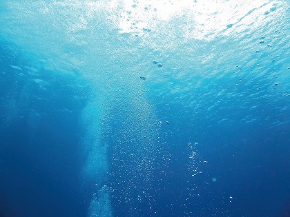 海中風景 エアー 気泡 海面イメージのフリー素材 無料写真素材集 Wtr0059 024 ダウンロード 高解像度画像 無料写真素材のプロ フォト