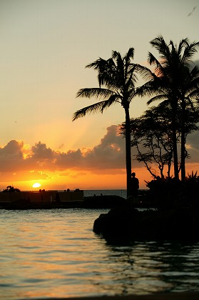 南国の海 夕焼け ヤシの木のフリー素材 無料写真素材集 風景 自然 景色 海 海岸 砂浜 Yuu0085 054 ダウンロード 高解像度画像 無料写真 素材のプロ フォト