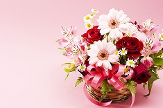 花束 切花 ブーケのフリー素材 無料の写真素材 Page1 無料画像素材のプロ フォト